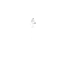 MinT Products GmbH